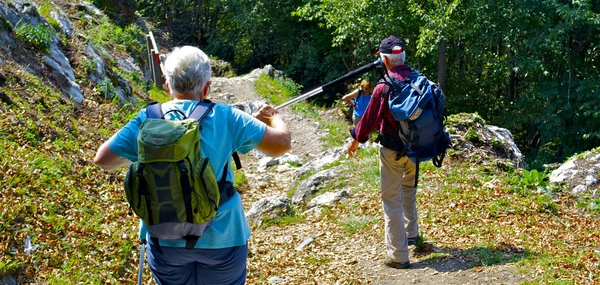 Turistas explorar montanhas com os paus — Fotografia de Stock