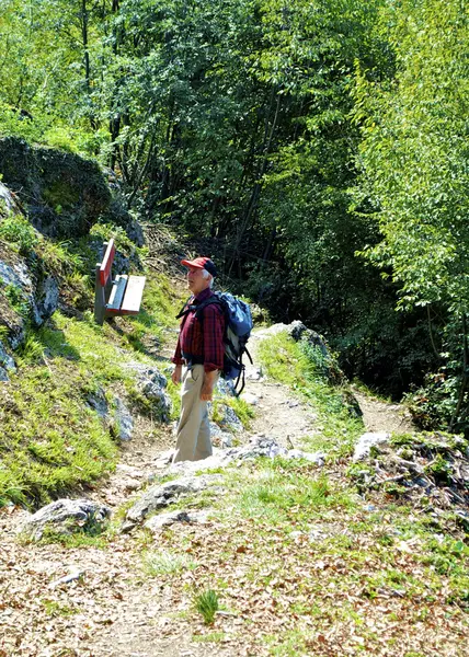 Alleen toeristische wandelingen in de bergen — Stockfoto