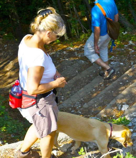 La mujer con su perro baja por las montañas — Foto de Stock