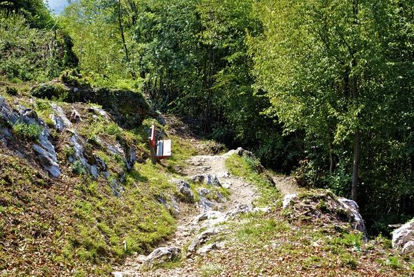 Naturaleza de las montañas en Suiza —  Fotos de Stock