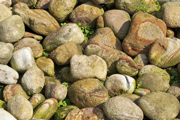 Textur von Steinen auf der Sonne — Stockfoto