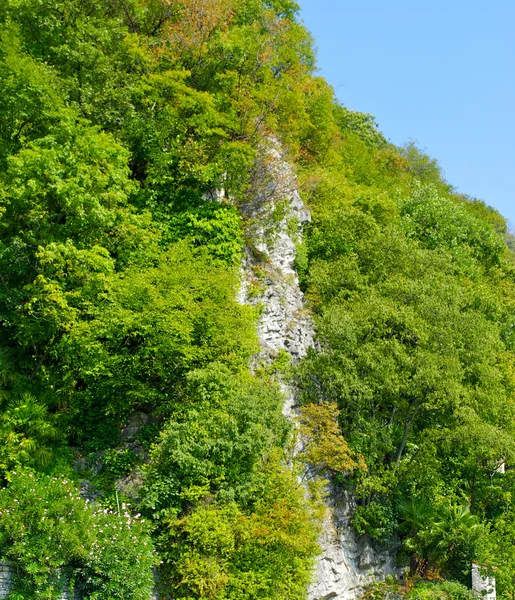 Pedra em verde — Fotografia de Stock