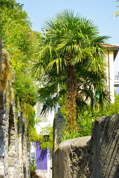 Prachtige natuurpas in Gandria, de stad op de berghelling in Zwitserland — Stockfoto