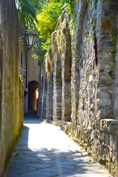 Beaux vieux tunnels de Gandria, la ville sur la colline de montagne en Suisse — Photo