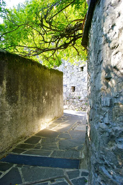 Veduta di Gandria, Svizzera — Foto Stock