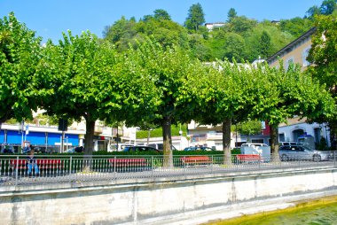 satır bir ağaç Lugano