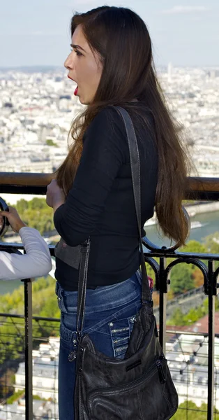 Touristes sur la tour Eiffel — Photo