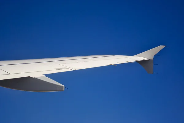 Wing plane — Stock Photo, Image
