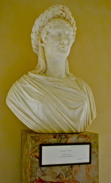 Pomnik znajduje się w pałacu fontainebleau — Zdjęcie stockowe