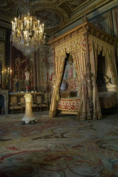 CASTLE FONTAINEBLEAU, ÎLE-DE-FRANCE, FRANCE: Image is taken inside of the Palace of Fontainebleau — Stok fotoğraf