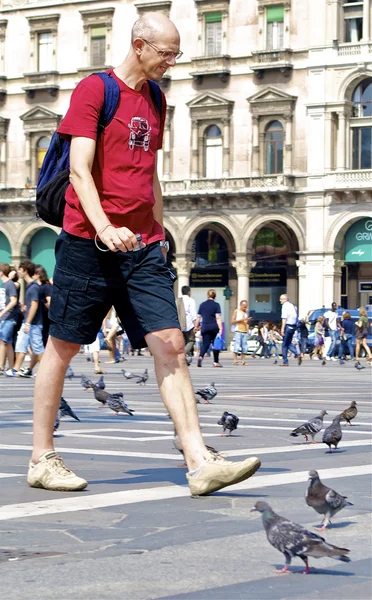 Hombre y palomas —  Fotos de Stock