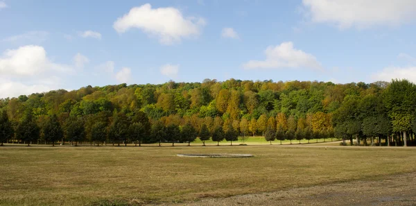 Arbres de différentes couleurs dans le Parc de Saint-Cloud, Paris, France — Photo