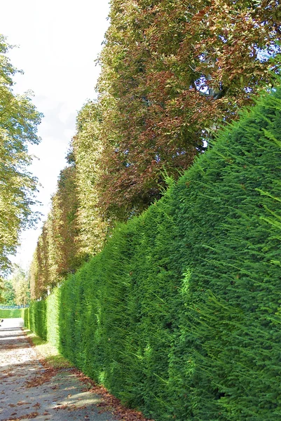 Parc de saint-cloud, Paryż, Francja — Zdjęcie stockowe