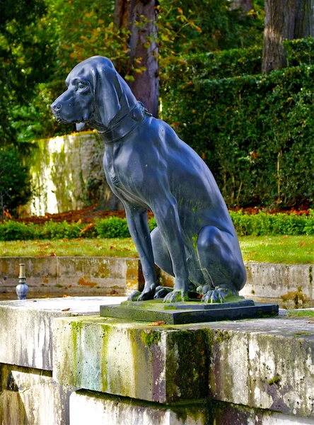 Monumento de um cão no Parc de Saint-Cloud, Paris, França — Fotografia de Stock