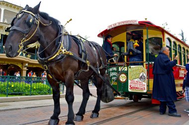 tramvay at taşır