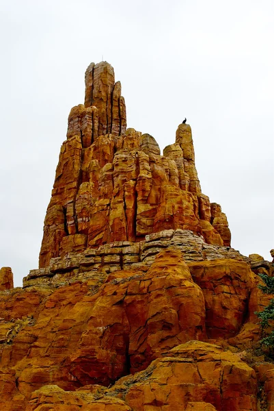 ディズニーの土地の岩のビュー — ストック写真