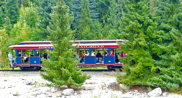 Диснейлендский поезд в лесу — стоковое фото