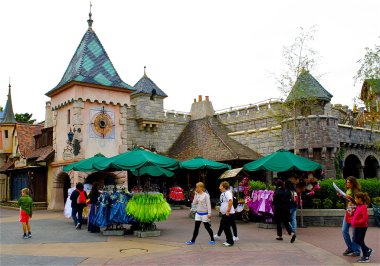 disneyland köy evi