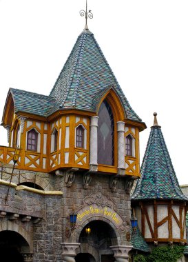 disneyland köy evi