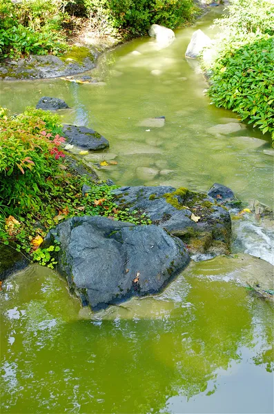 Lopende rivier en stenen — Stockfoto