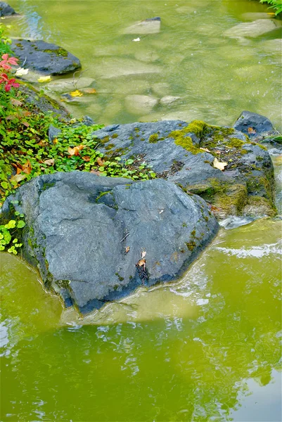 Rzeki i kamienie — Zdjęcie stockowe