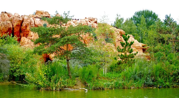 Madera y rocas — Foto de Stock