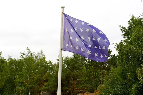 Flag in front the wood — Stock Photo, Image