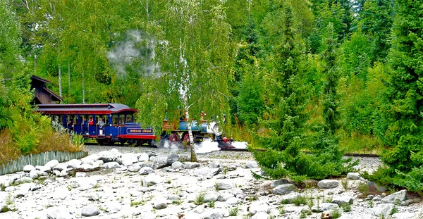 Tren în lemn — Fotografie, imagine de stoc