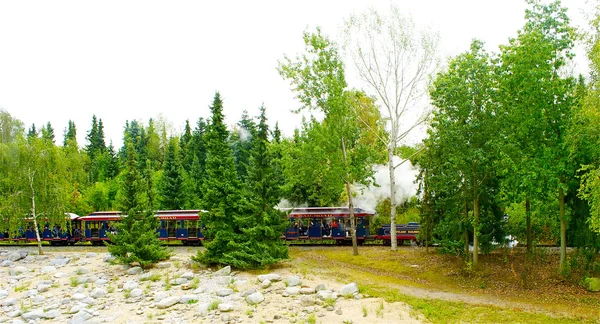 Vlak v lese — Stock fotografie