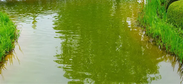 Grüner See — Stockfoto