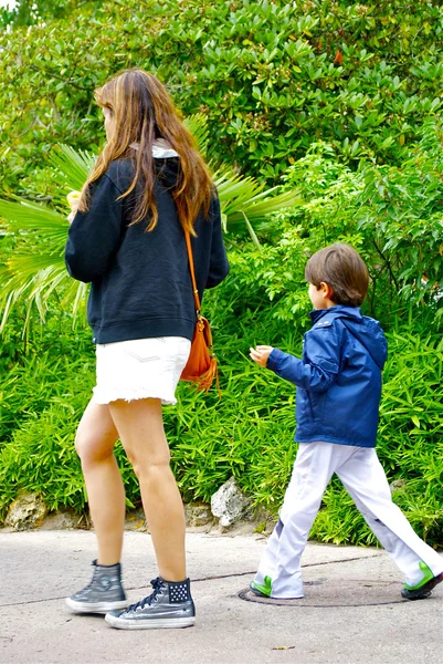 Anne ve oğlu yürüyüş disneyland