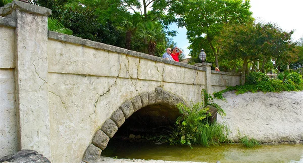 สะพานหินในสวนดิสนีย์แลนด์ — ภาพถ่ายสต็อก