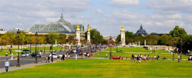 yanında yeşil bir yer köprü Paris alexandre III