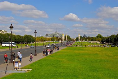 yanında yeşil bir yer köprü Paris alexandre III