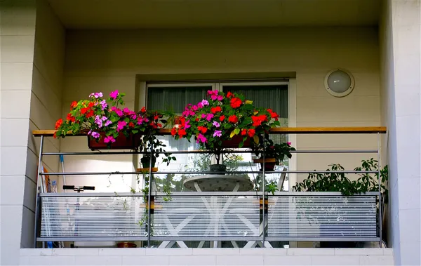 Fleurs sur le balcon — Photo