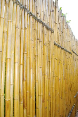 Bambu fense
