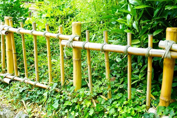 Fense de bambú — Foto de Stock