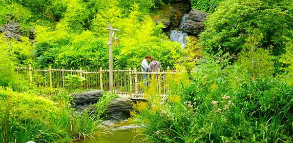 Bamboo bridge in the Disneyland — Stock Photo, Image