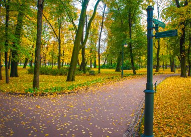 Sonbaharda güzel bir park