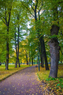 Sonbaharda güzel bir park