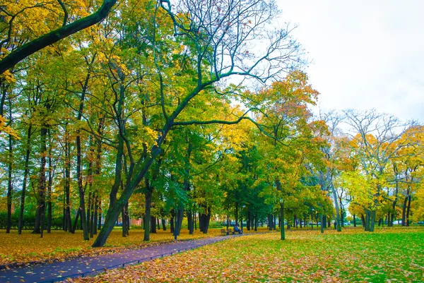 Парк восени — стокове фото