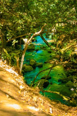 küçük dağ nehir Meksika