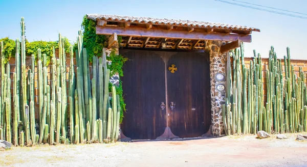 Puerta entre el cactus en México —  Fotos de Stock