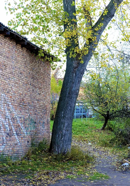 Strom a garáže — Stock fotografie