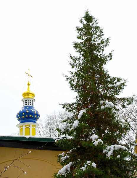 Fir tree in snow and a blue chapel — Stock Photo, Image