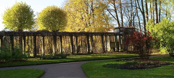 Construcción con columnas en la ciudad rusa Pushkin, área de San Petersburgo — Foto de Stock