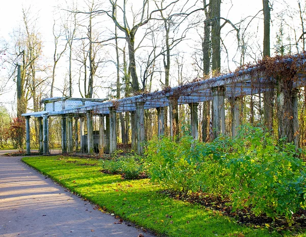 Construcción con columnas en la ciudad rusa Pushkin, área de San Petersburgo — Foto de Stock