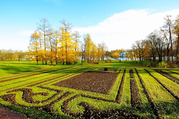 Декоративная зеленая трава в маленьком российском городке — стоковое фото