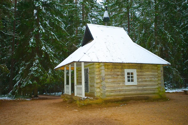 米哈伊洛夫斯基博物馆的森林里的木房子保留砂金 — 图库照片