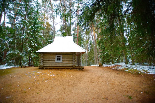 Casa de madera en el bosque del Museo Mikhaylovskoye Reserva donde — Foto de Stock